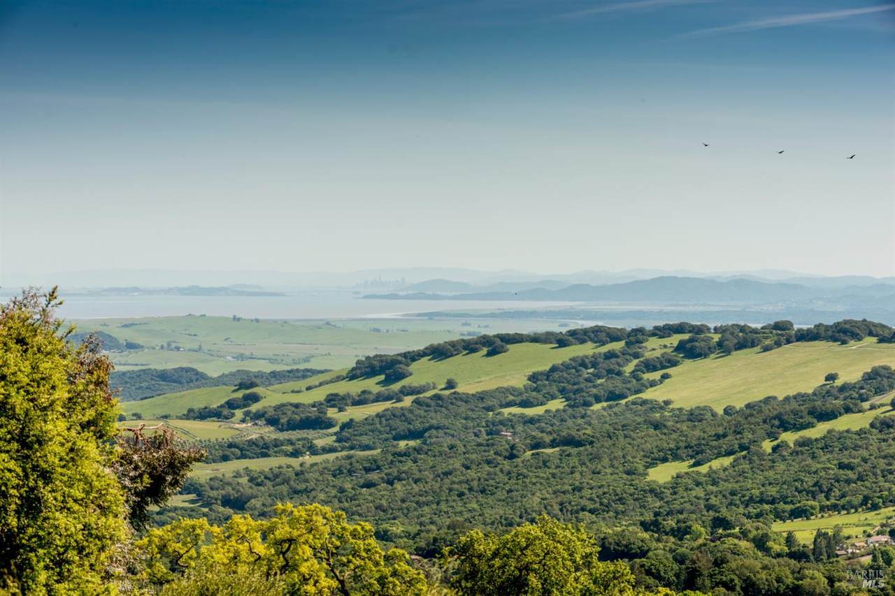 7251 Grove Court - Photo 1