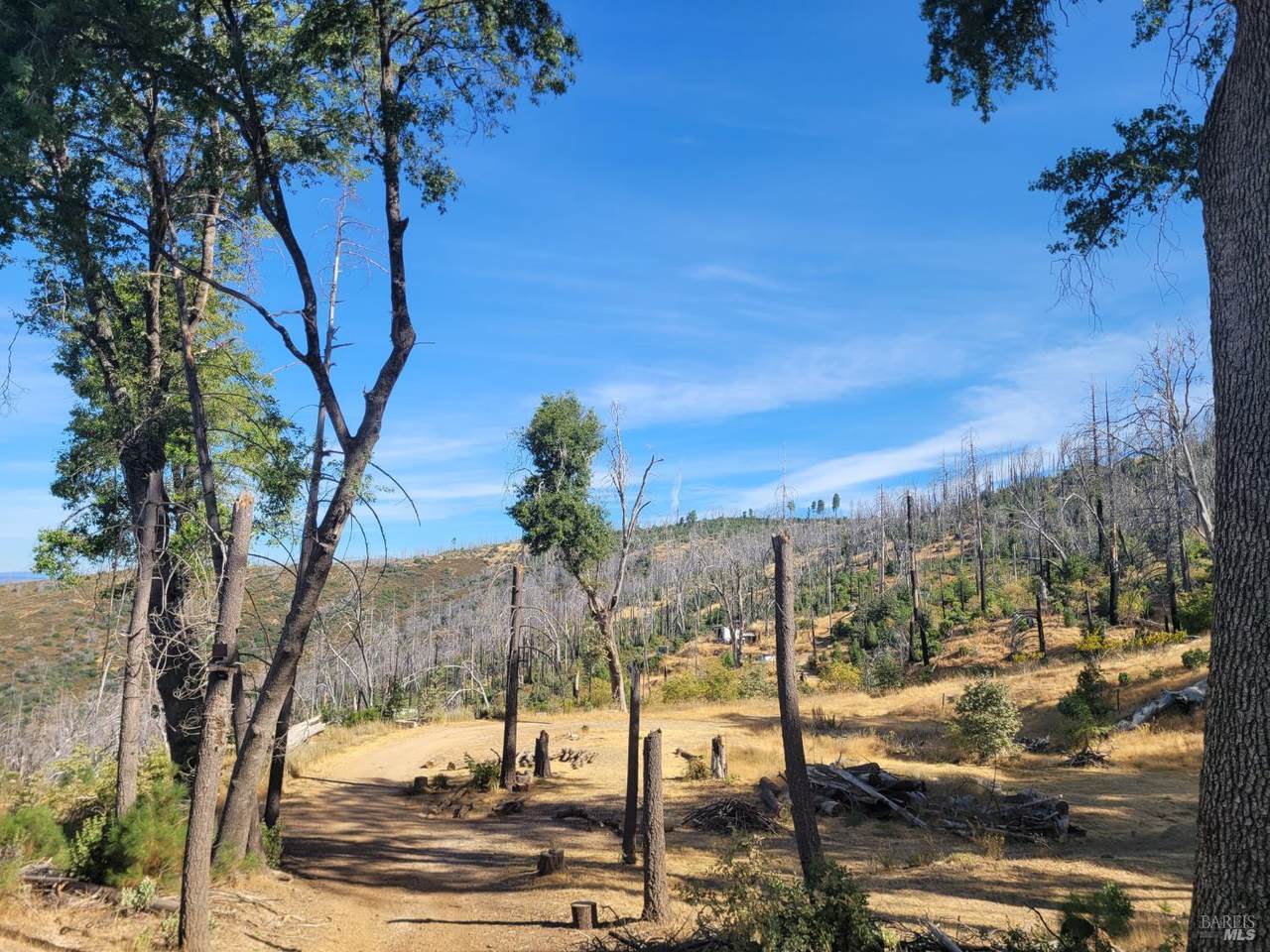 7180 Bartlett Springs Road - Photo 1