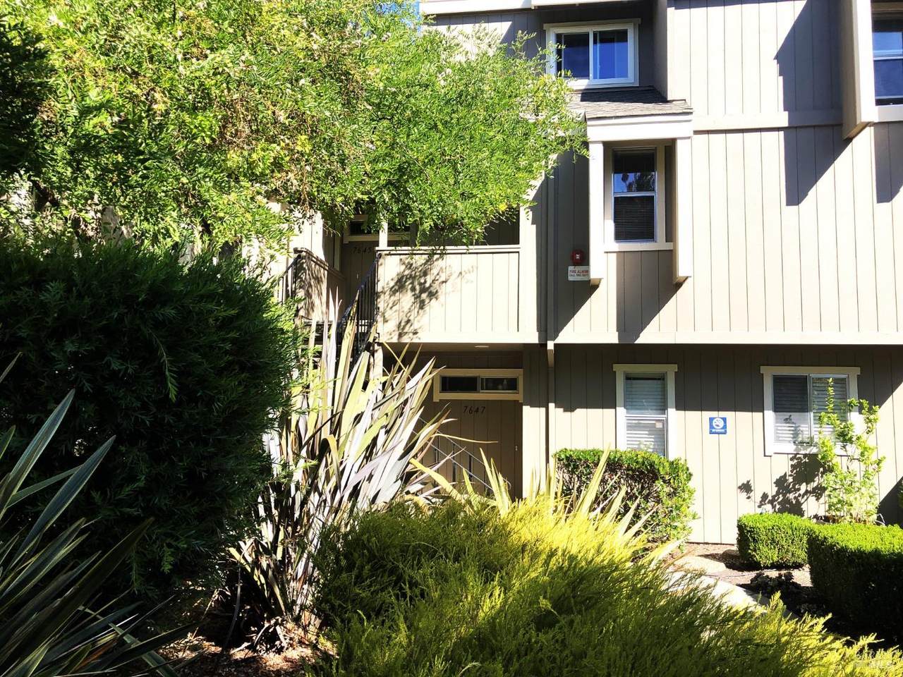 7645 Camino Colegio - Photo 1