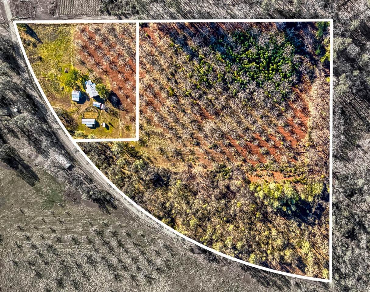 11415 Seigler Springs North Road - Photo 1