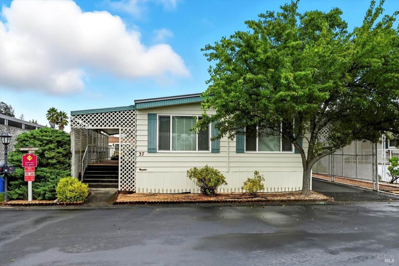 37 Magnolia Drive - Photo 1