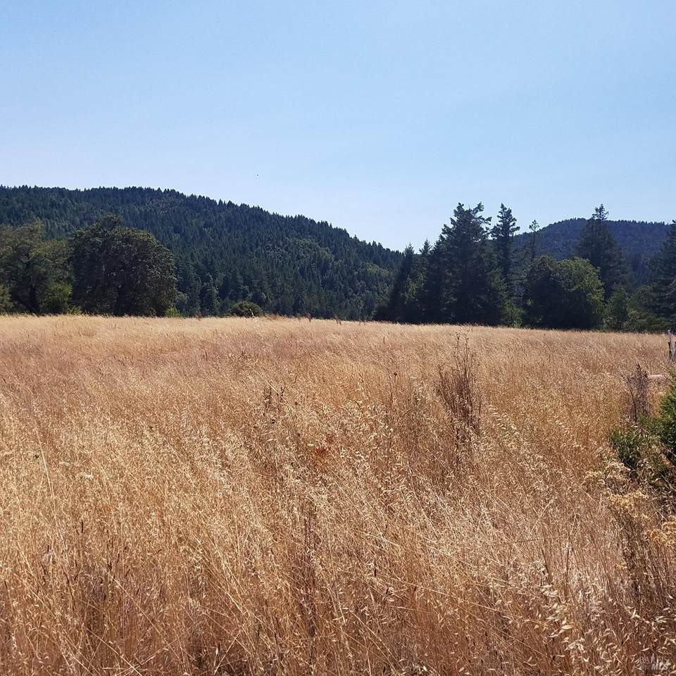 80090 Road 442B Road - Photo 1