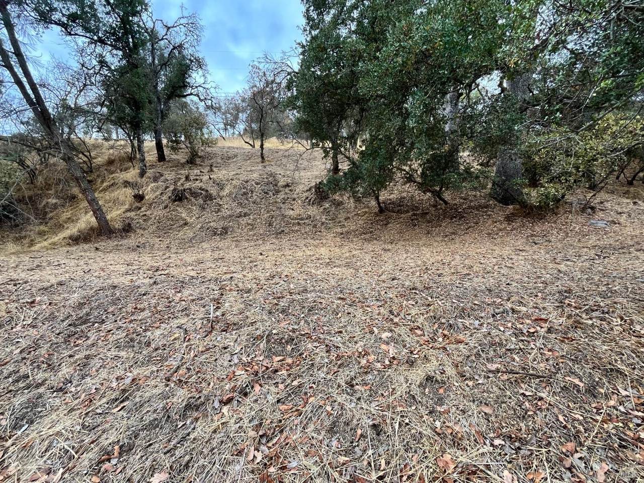 3670 Marin Street - Photo 1