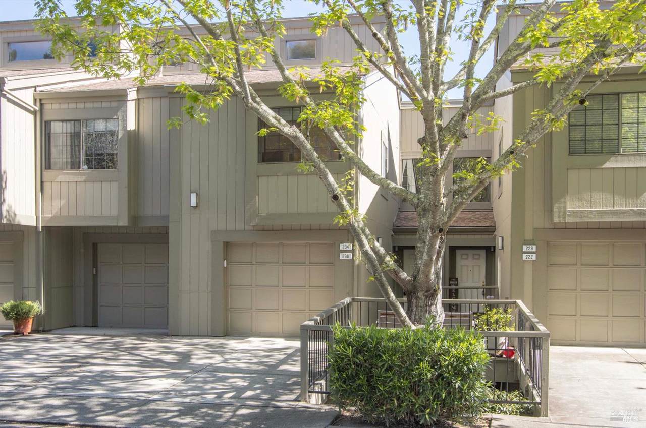 230 Pelican Lane - Photo 1