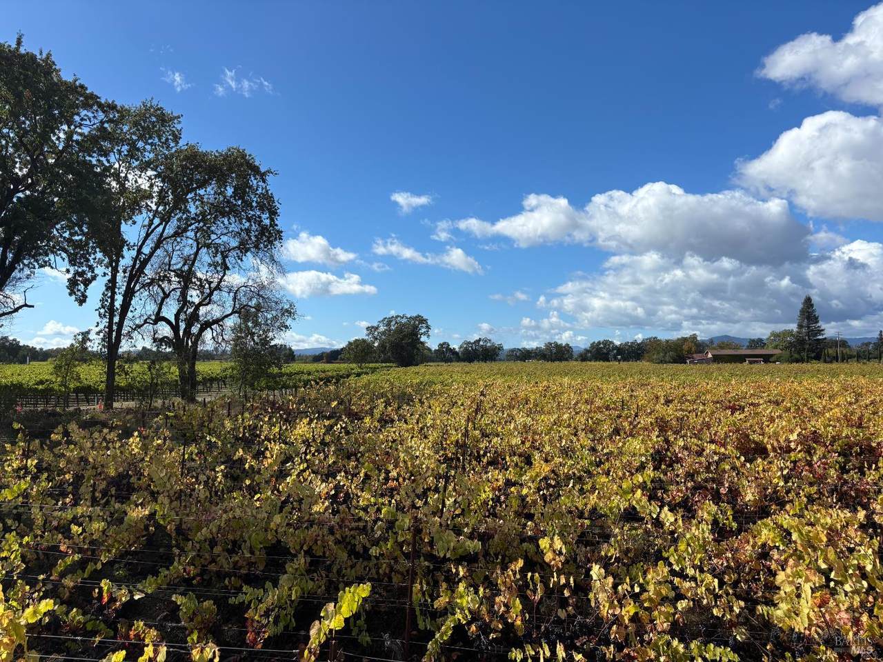 1100 Hart Lane - Photo 1