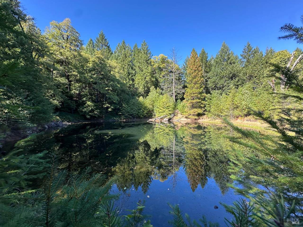 51901 Stivers Road - Photo 1