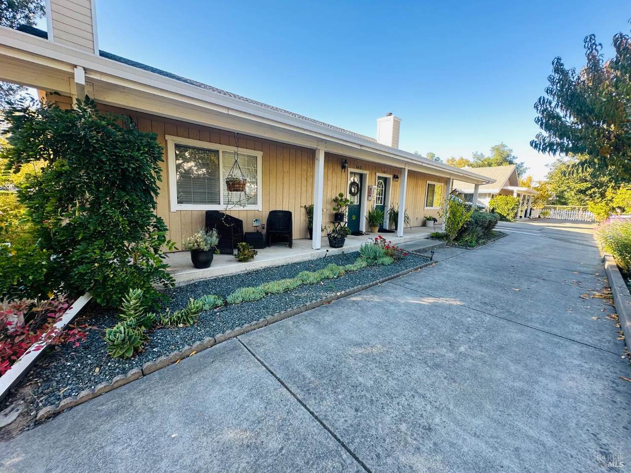 262 Macarthur Street - Photo 1