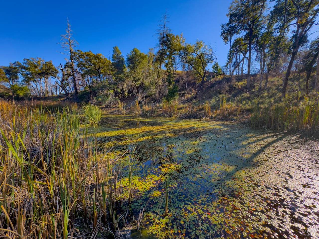 9501 Big John Road - Photo 1