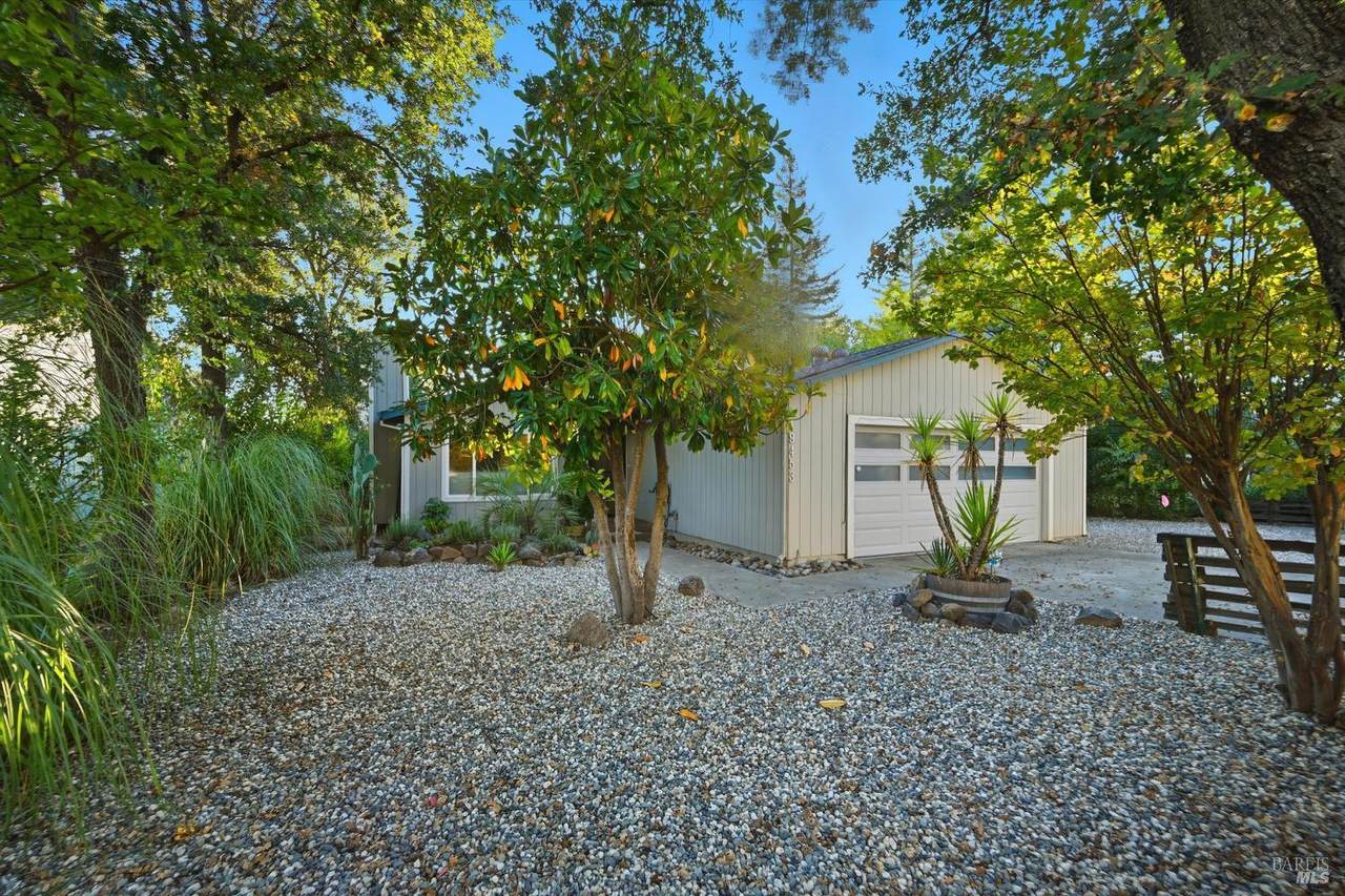 19453 Mountain Meadow - Photo 1