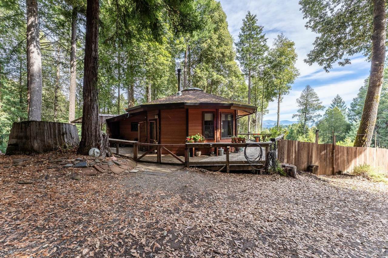 30651 Timberline Road - Photo 1