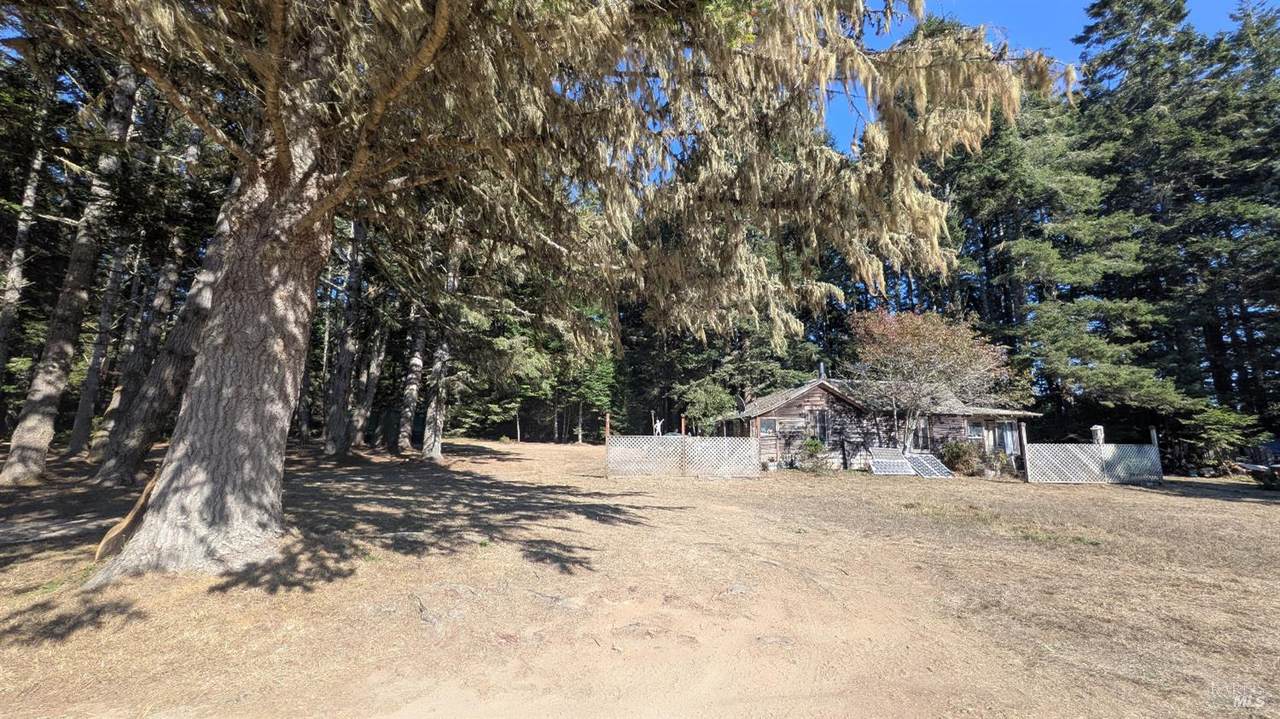 2901 Albion Ridge B Road - Photo 1