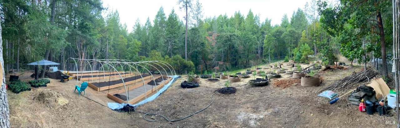 1901 Tenmile Creek Road - Photo 1