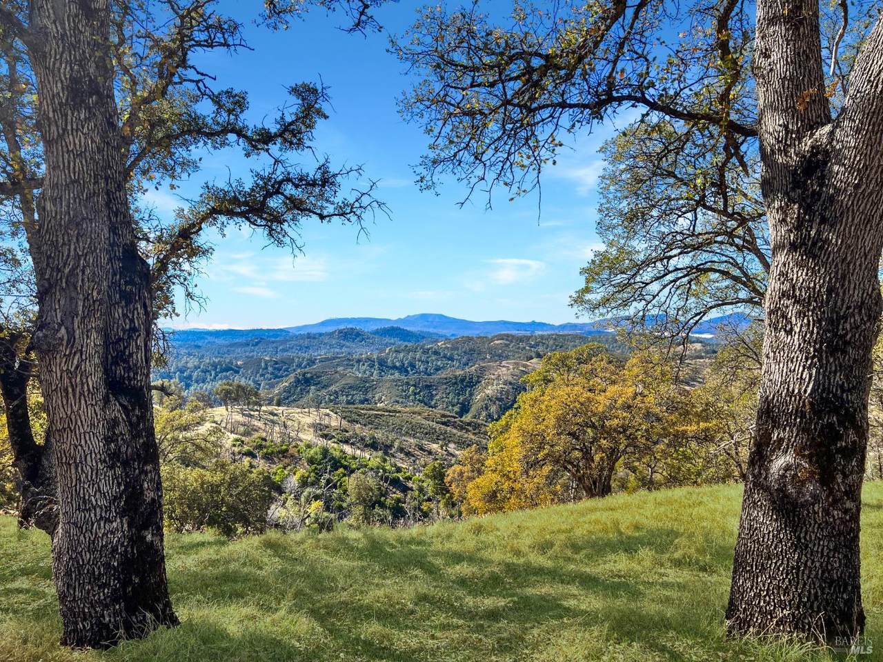 20560 Solar Ridge Road - Photo 1