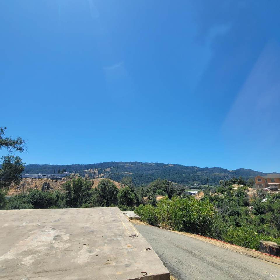 4502 Silverado Trail - Photo 1