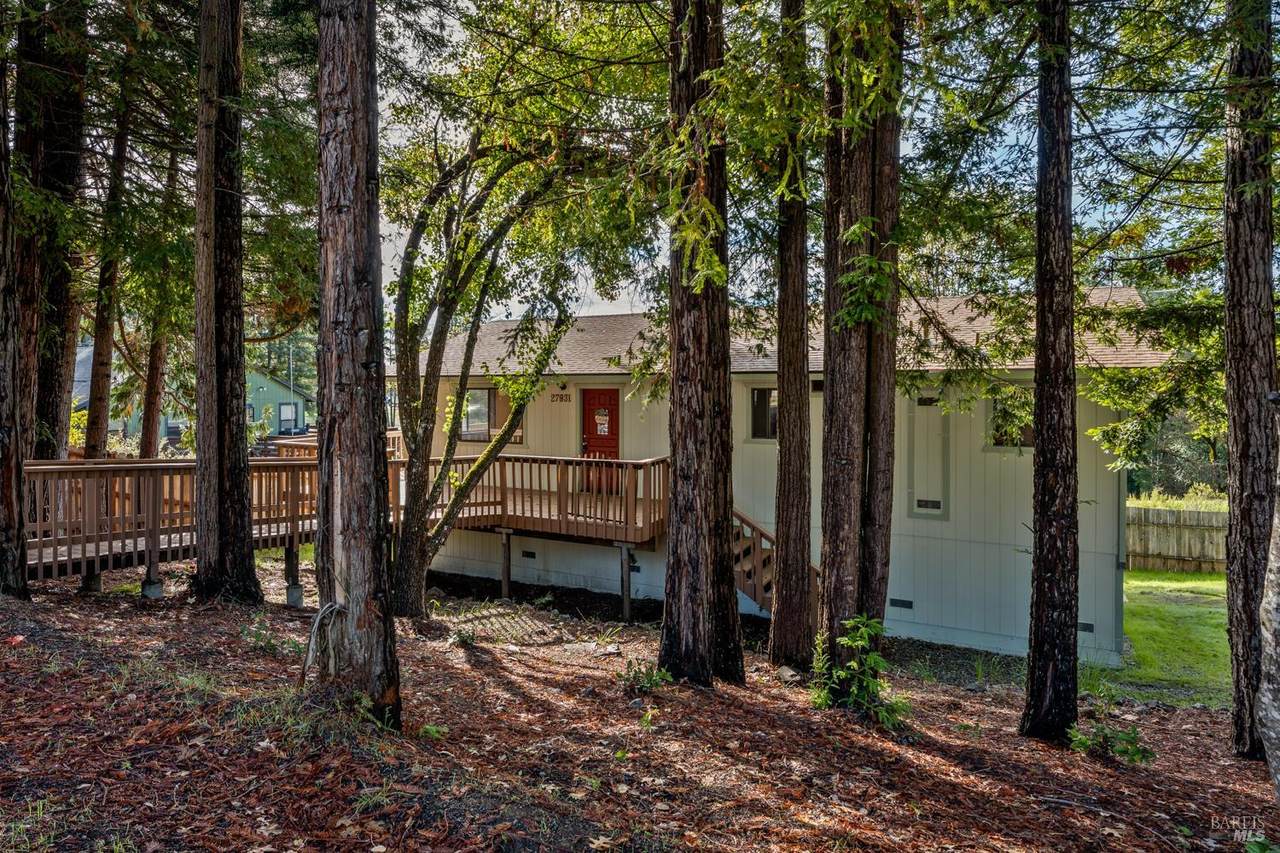 27931 Poppy Drive - Photo 1