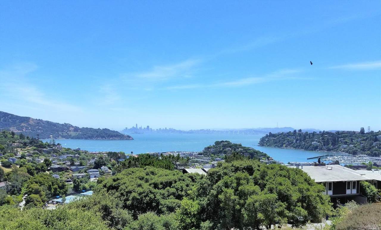 102 Red Hill Circle - Photo 1