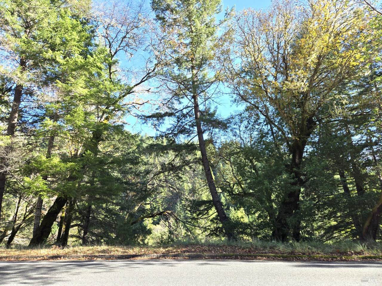 2713 Primrose Drive - Photo 1