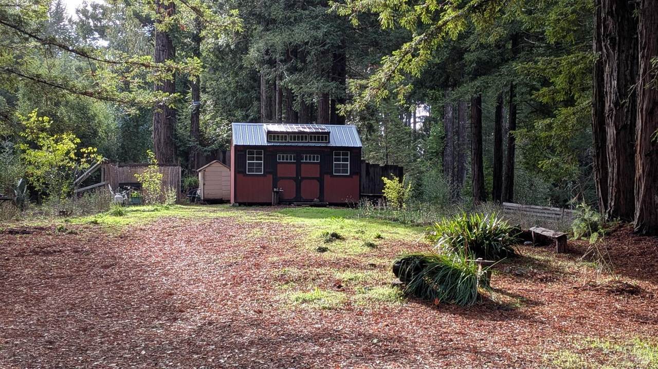 19800 Appaloosa Way - Photo 1