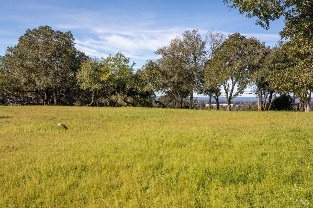 2360 Sycamore Avenue - Photo 1