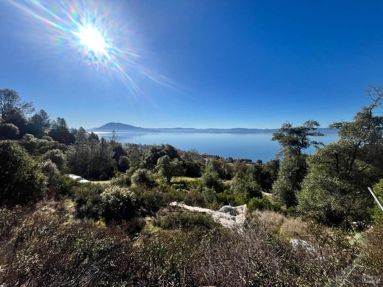 6319 Aileen Trail - Photo 1