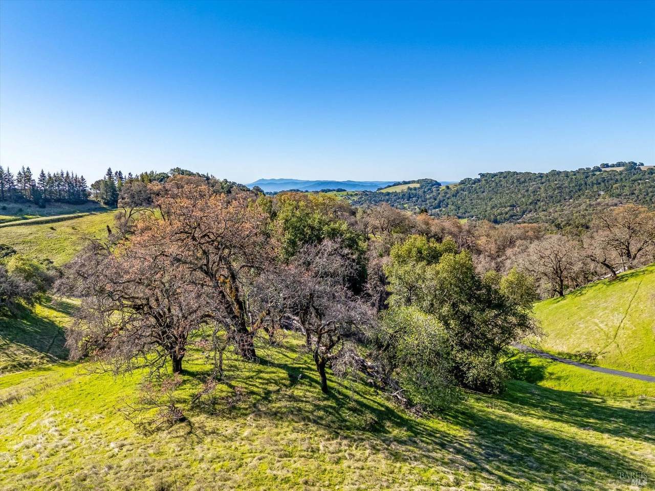 6080 Grove Street - Photo 1