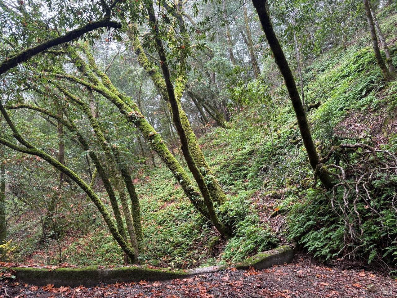 11285 Dell Avenue - Photo 1