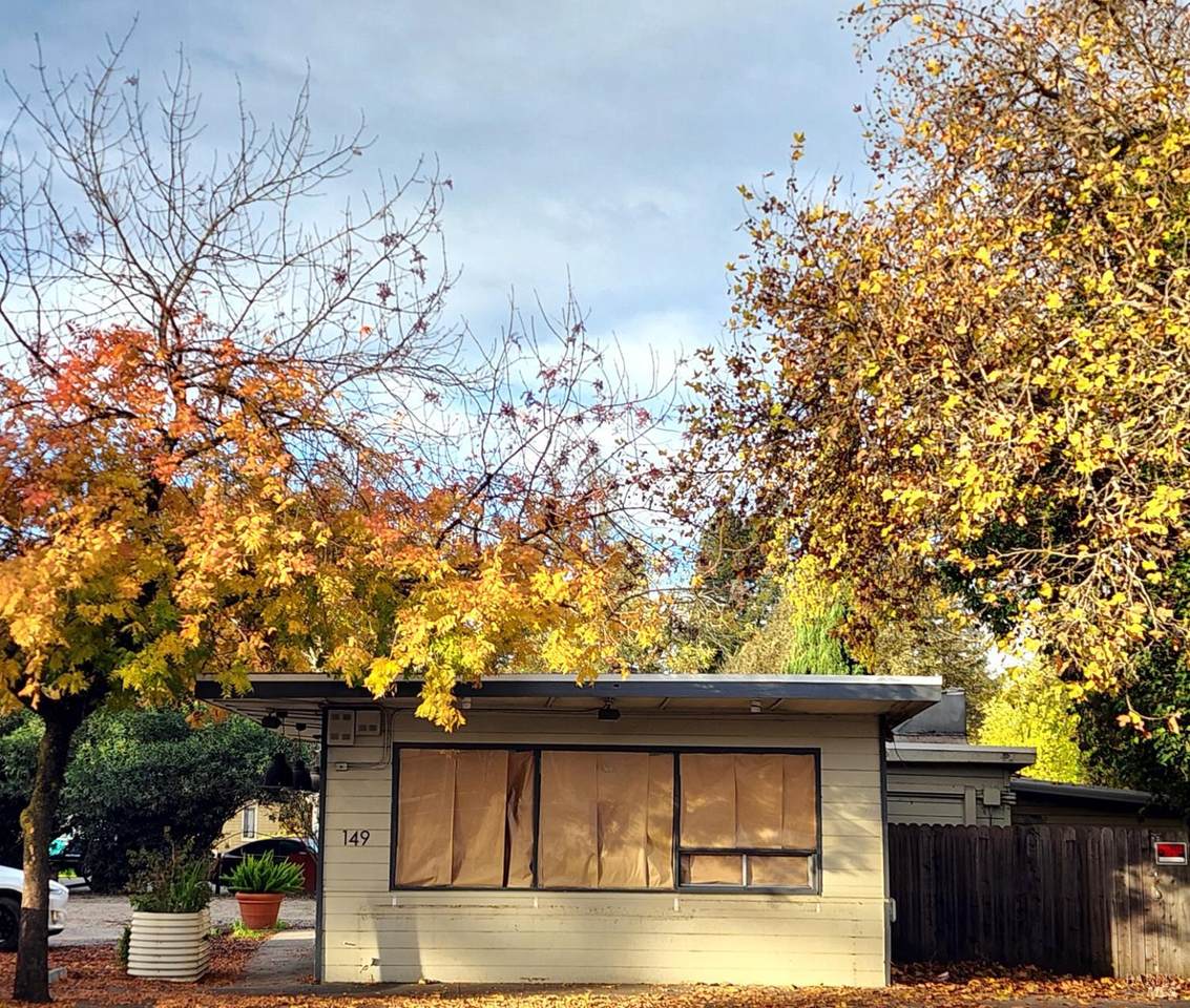 149 Healdsburg Avenue - Photo 1