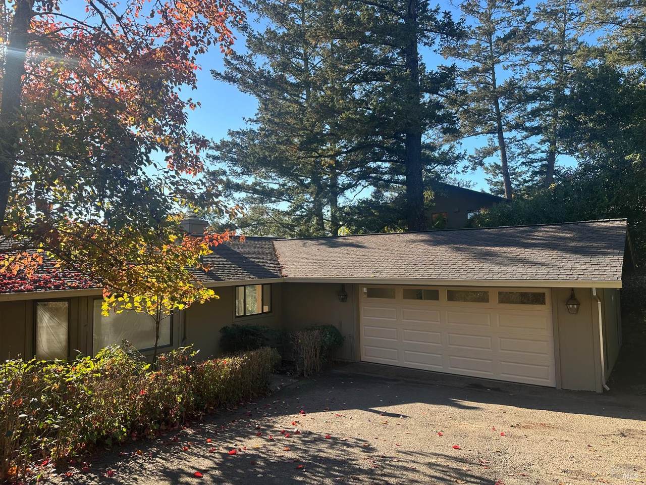 121 Knoll Place - Photo 1