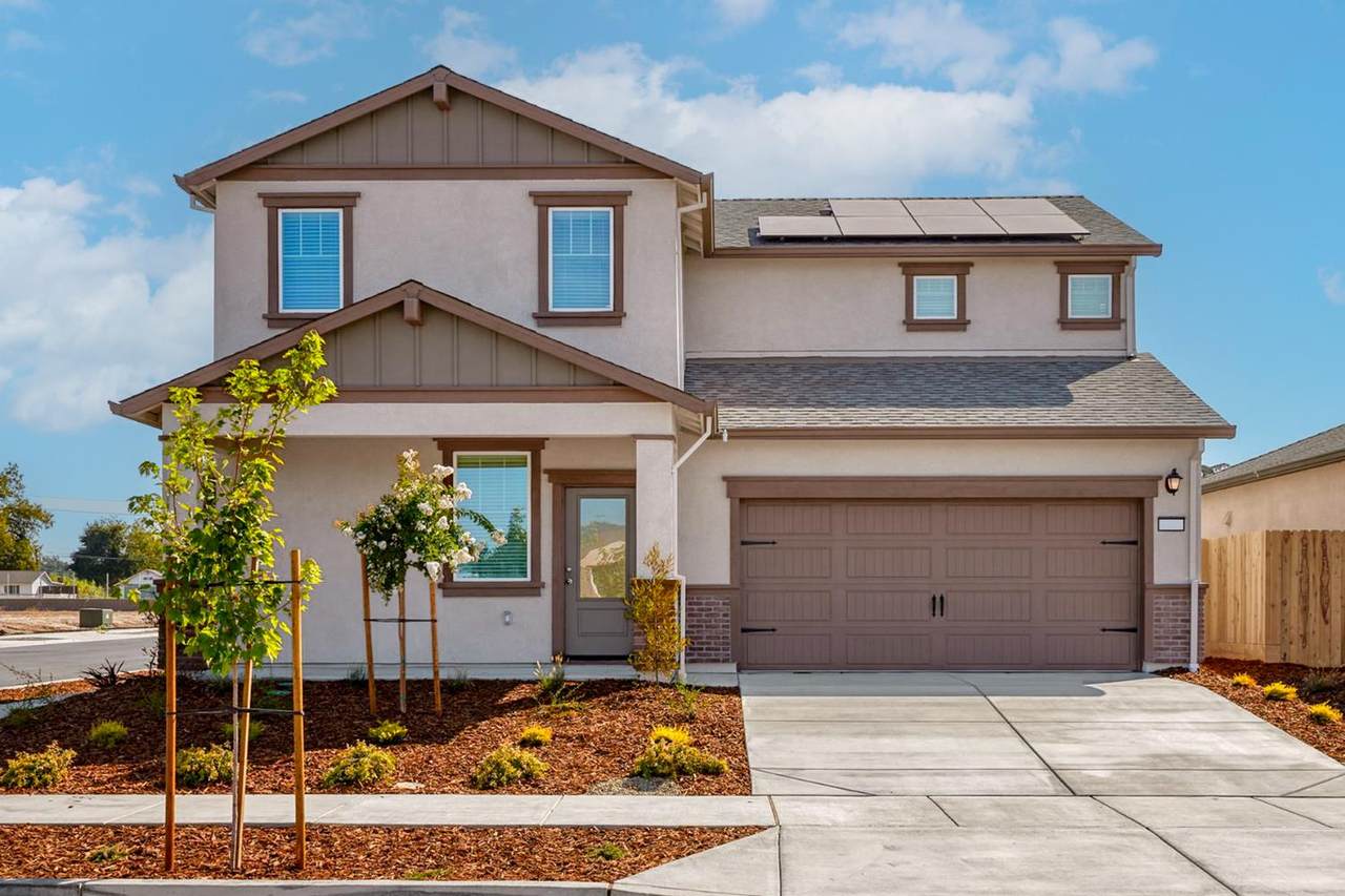 10346 Elton Lane - Photo 1