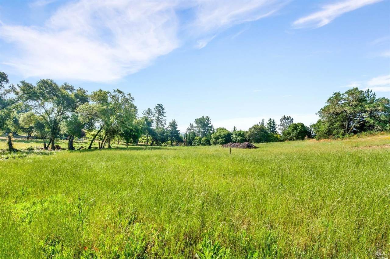 1100 Lytton Springs Road - Photo 1