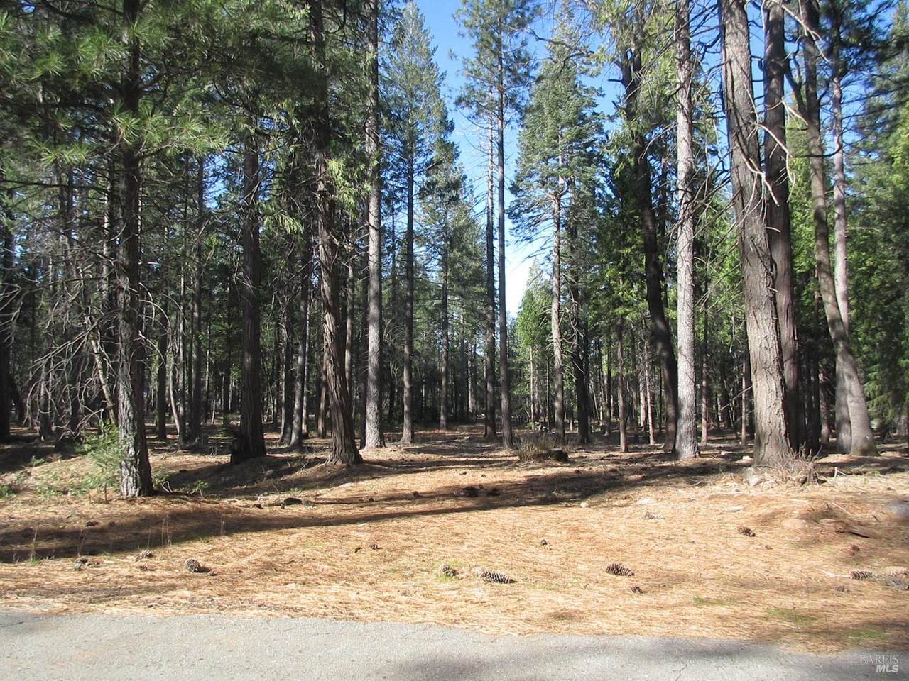 3 Acres Woodridge Drive - Photo 1