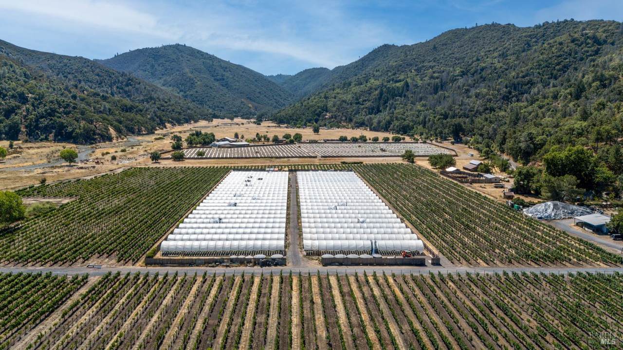 2000 Clover Valley Road - Photo 1