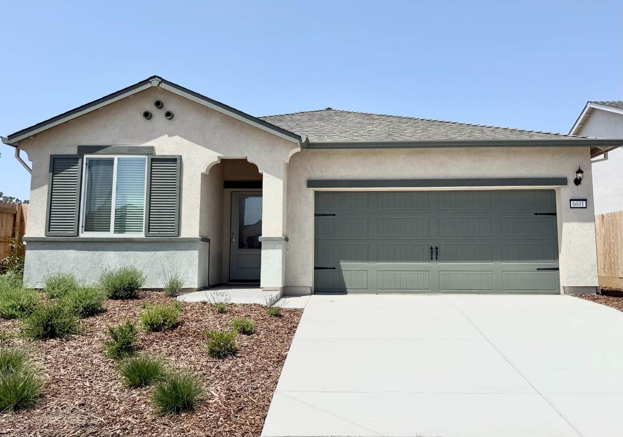 6685 Gallop Lane - Photo 1