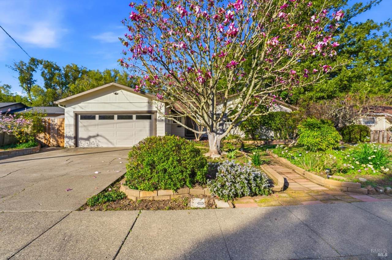 440 Calle De La Mesa - Photo 1