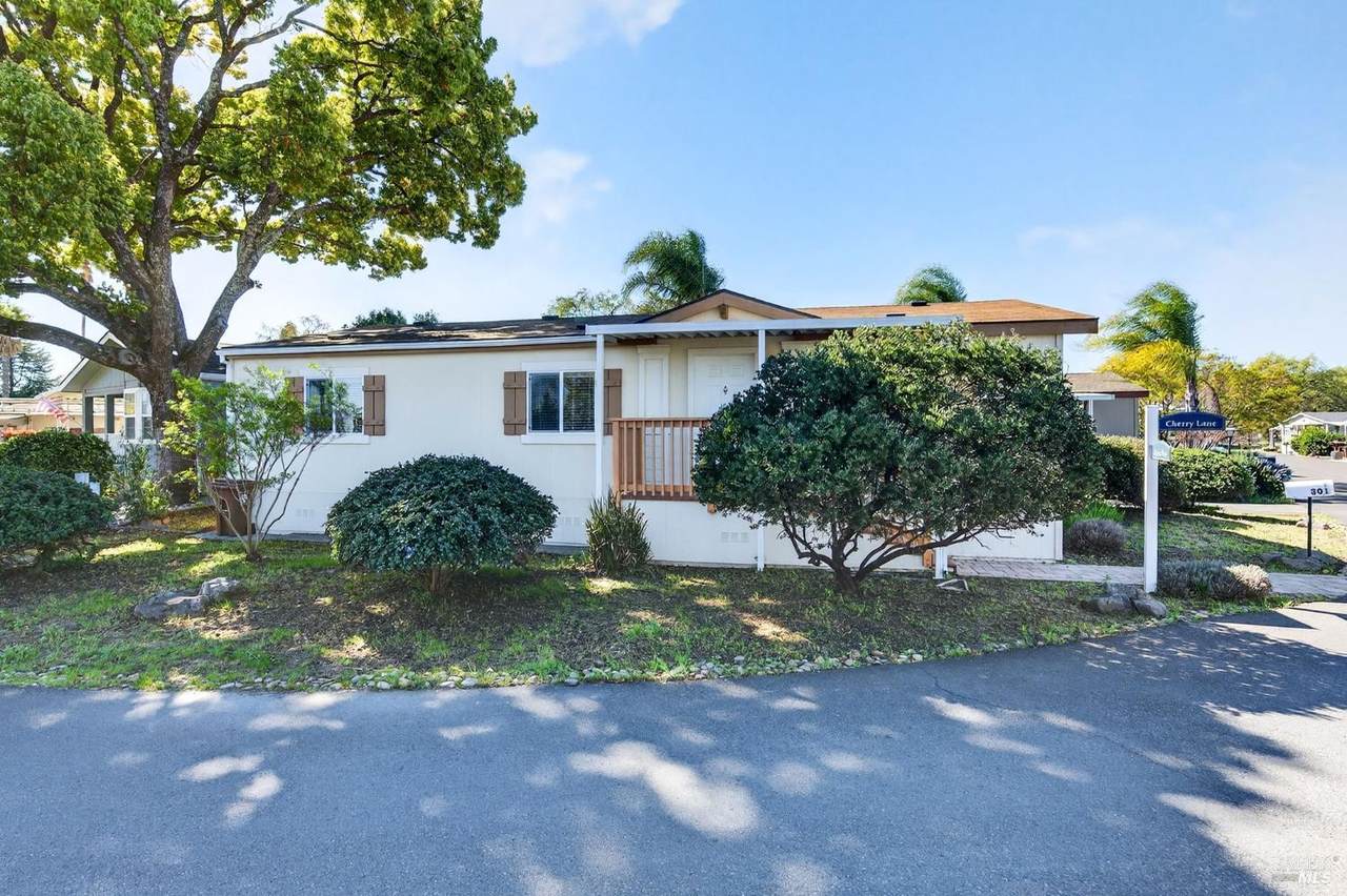 301 Robert Way - Photo 1