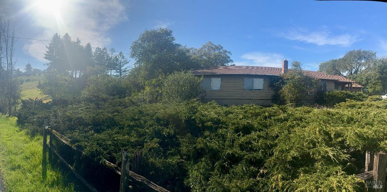 4550 Hidden Springs Road - Photo 1