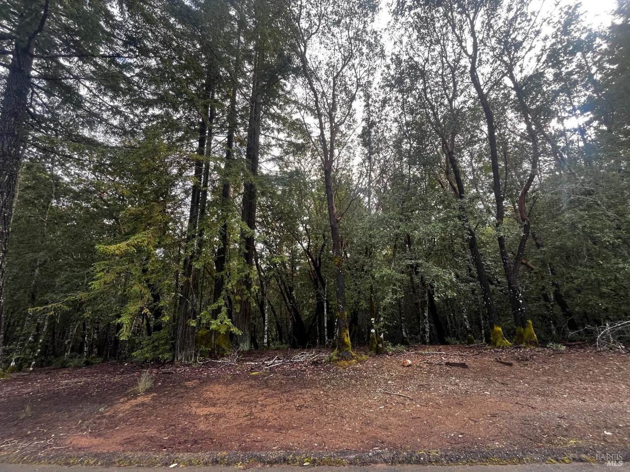 2149 Goose Road - Photo 1