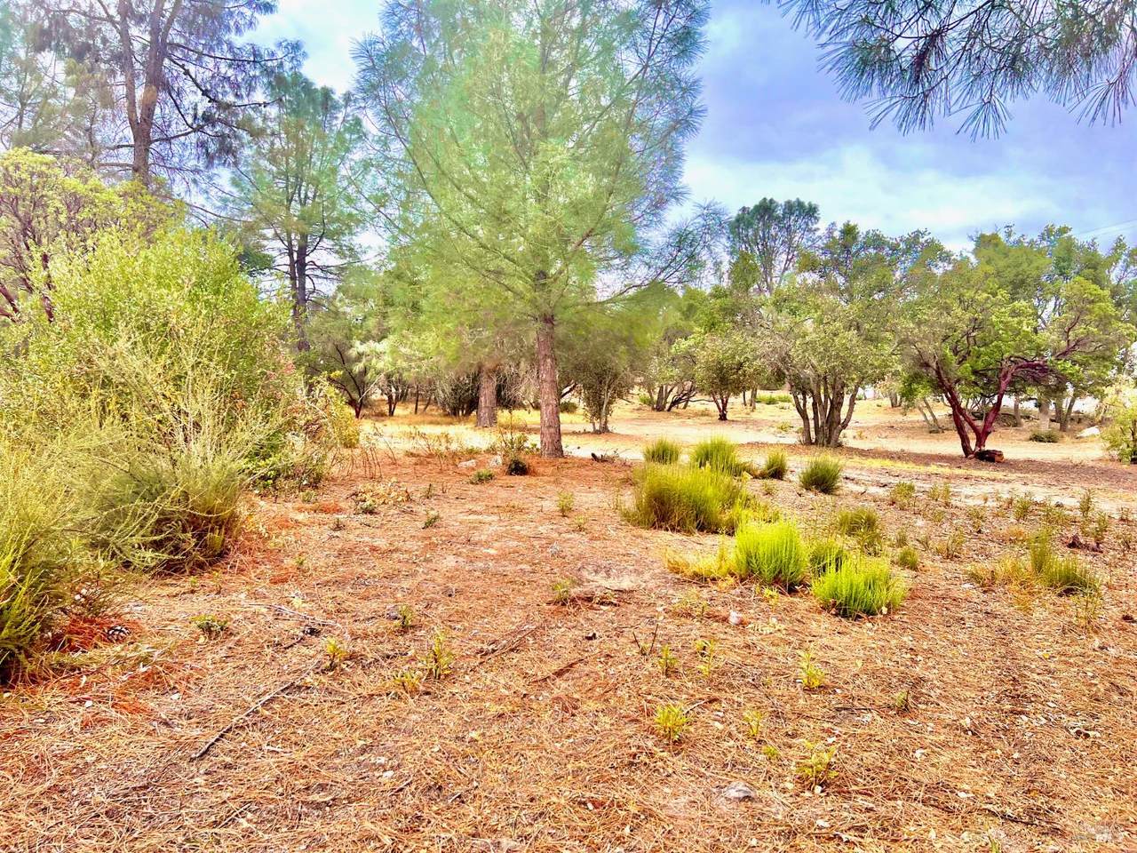 3471 Park Street - Photo 1