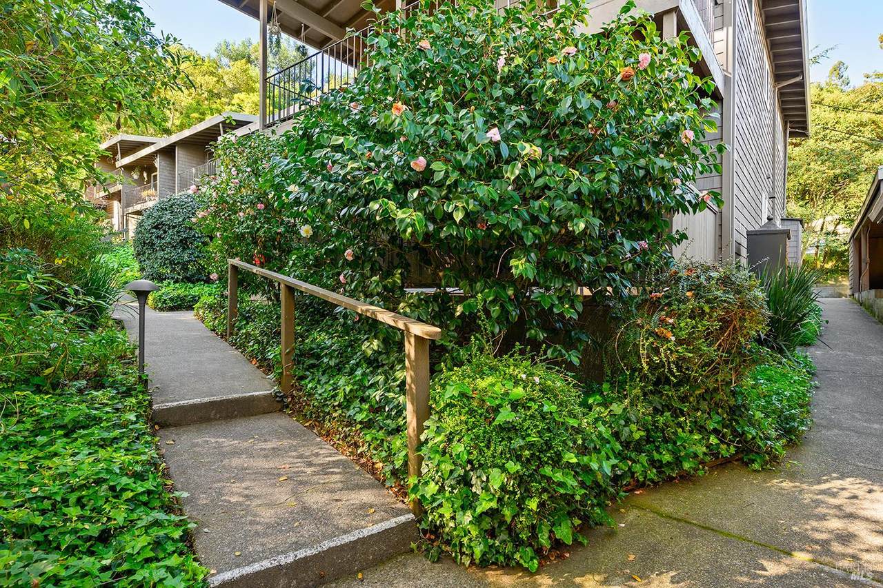 1411 Casa Buena Drive - Photo 1