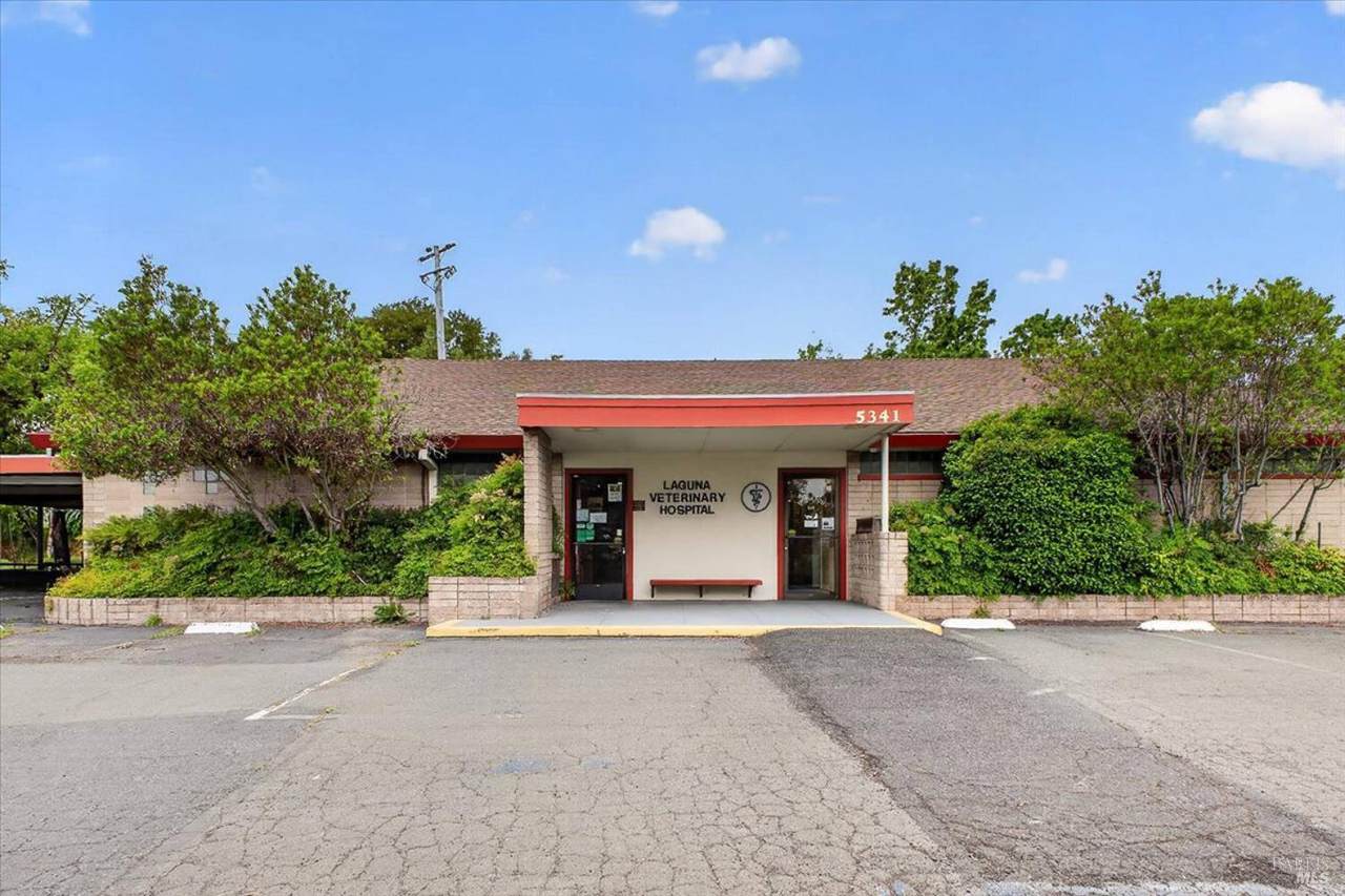 5341 Sebastopol Road - Photo 1
