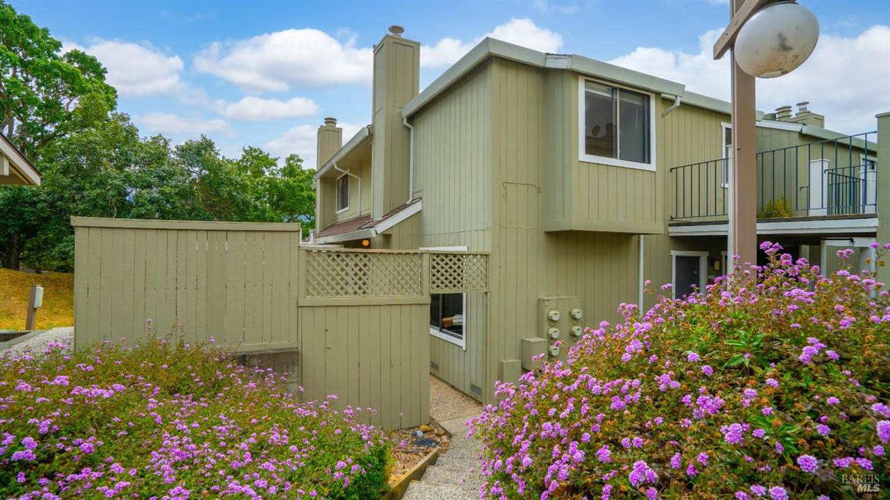 66 Margarita Terrace - Photo 1