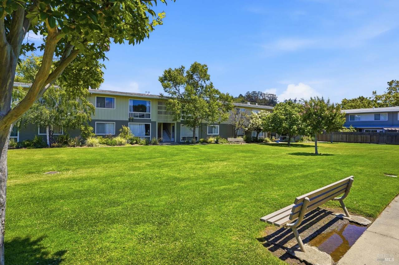 1056 Los Gamos Road - Photo 1