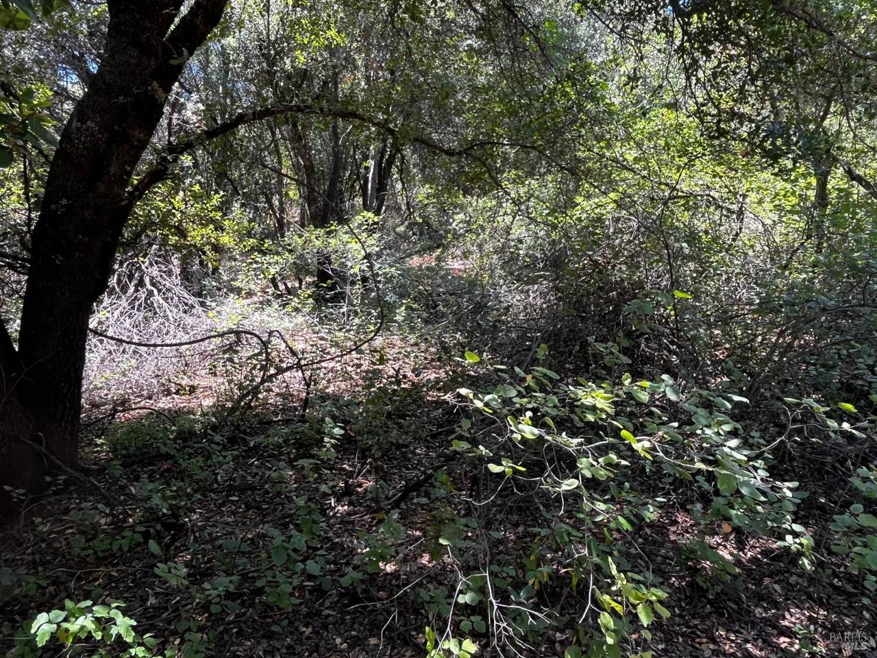 5768 Vallejo Avenue - Photo 1