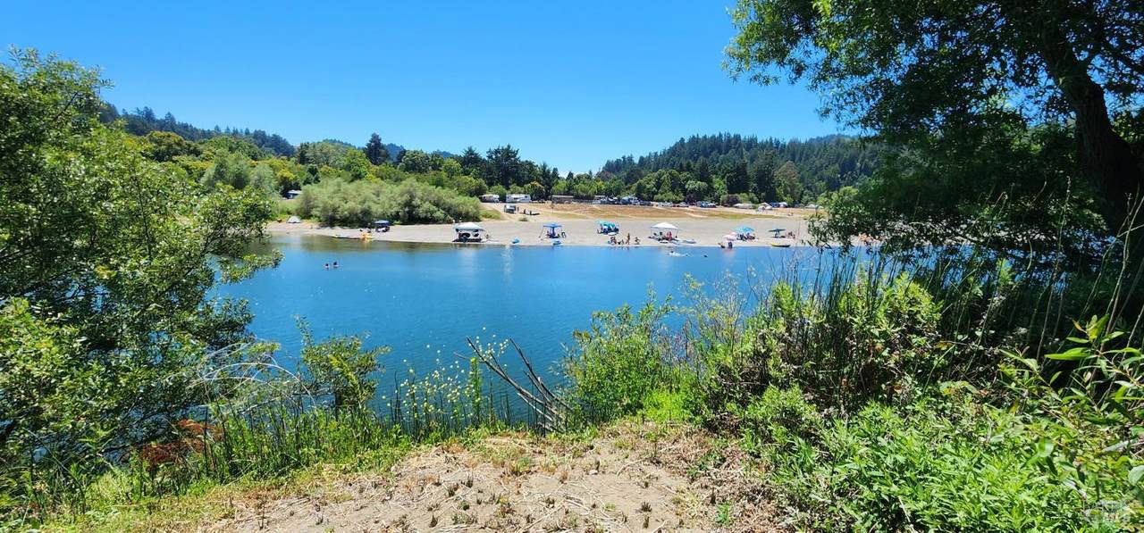 23001 Conifer Drive - Photo 1