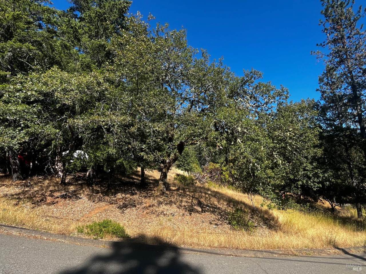 1721 Crawford Drive - Photo 1