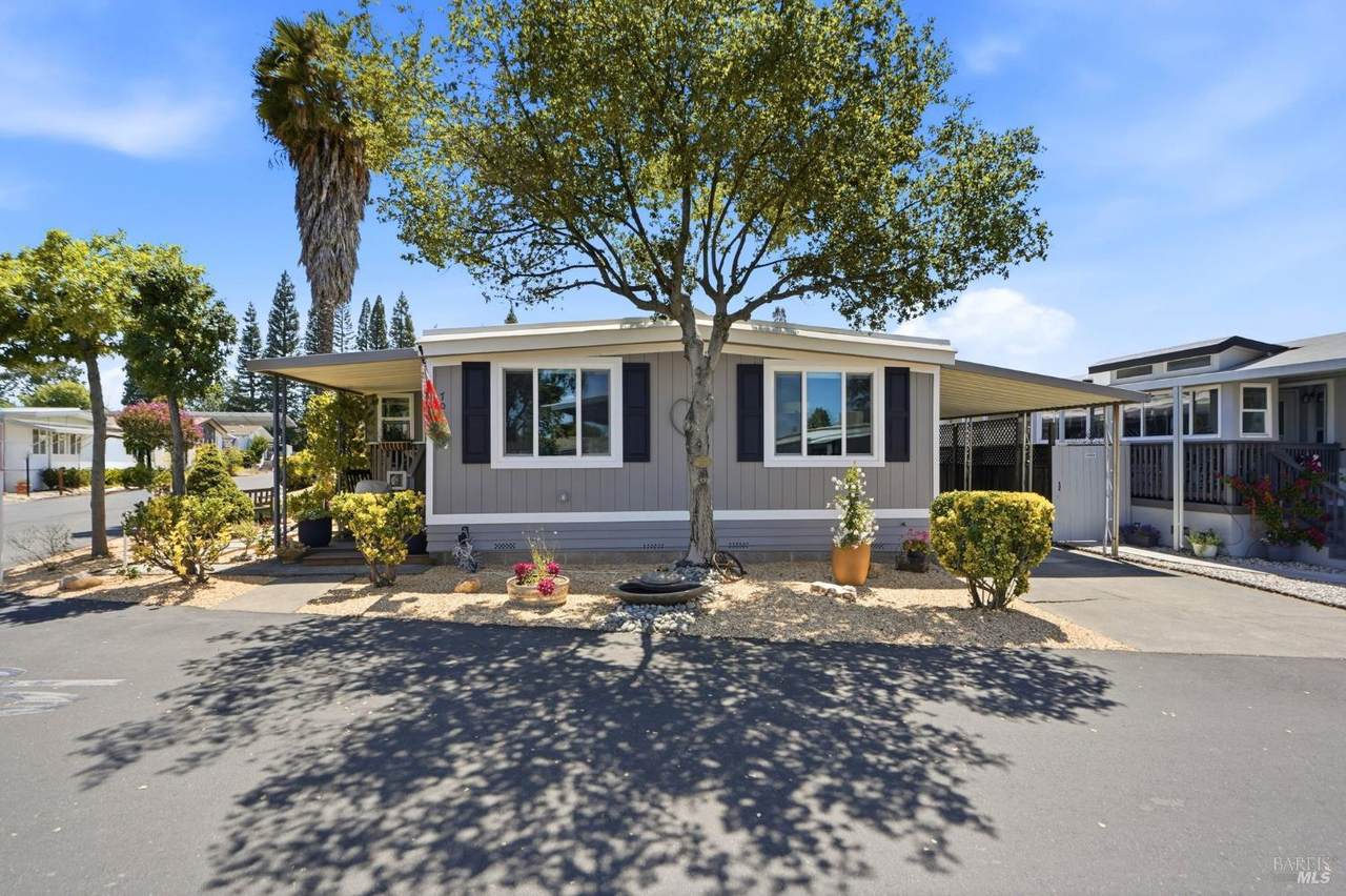 703 Sequoia Street - Photo 1
