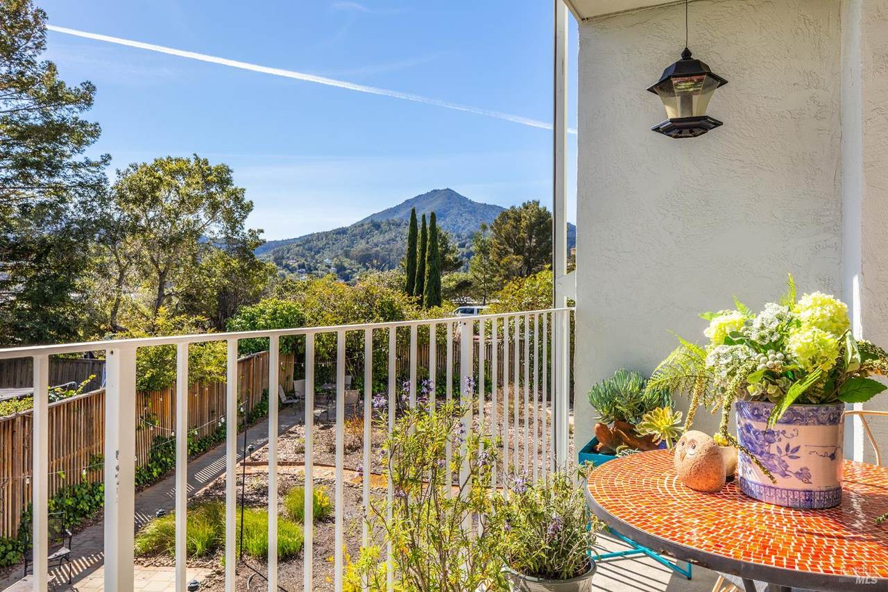 161 Lower Via Casitas - Photo 1