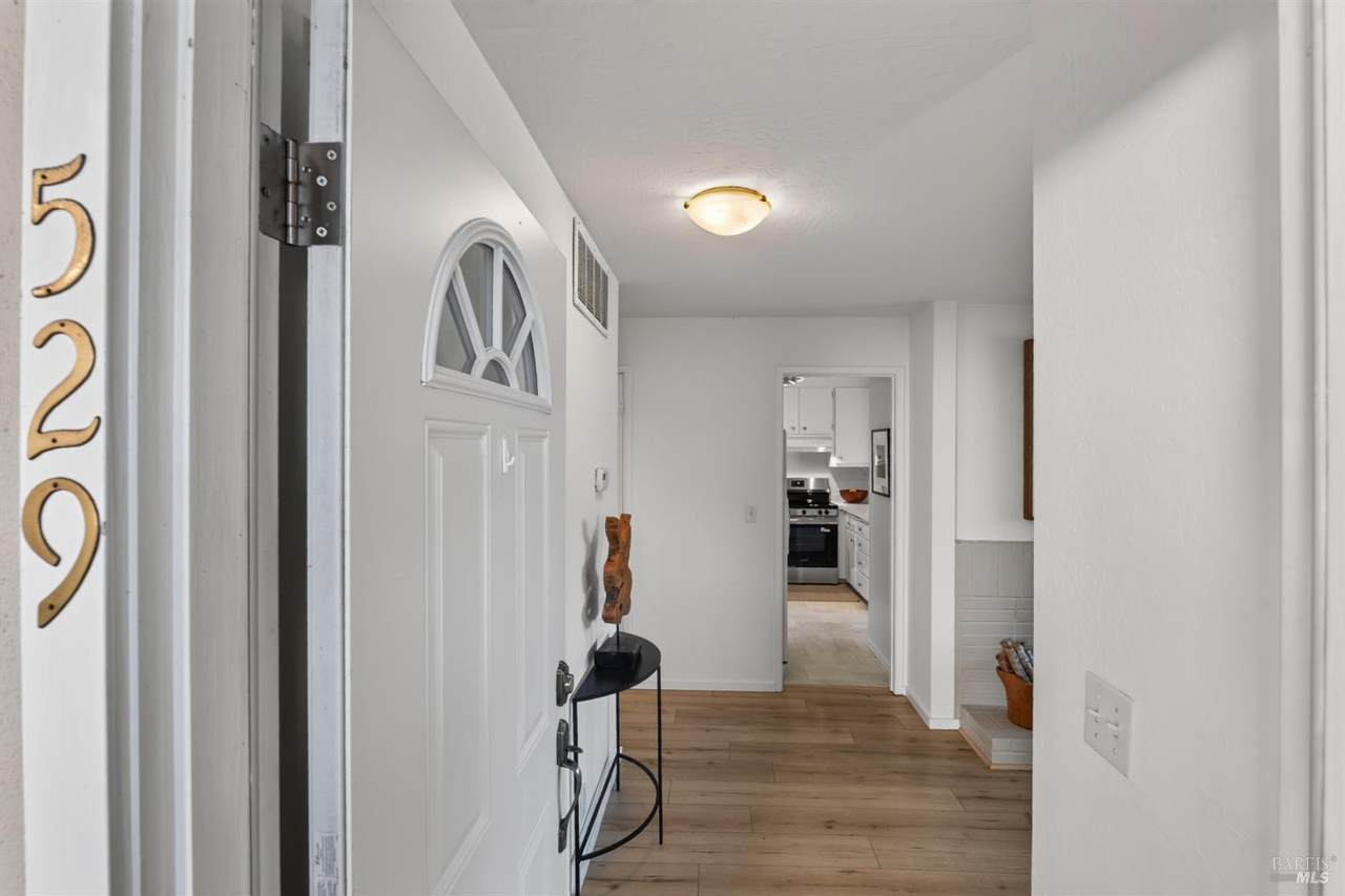529 Larkspur Plaza Drive - Photo 1