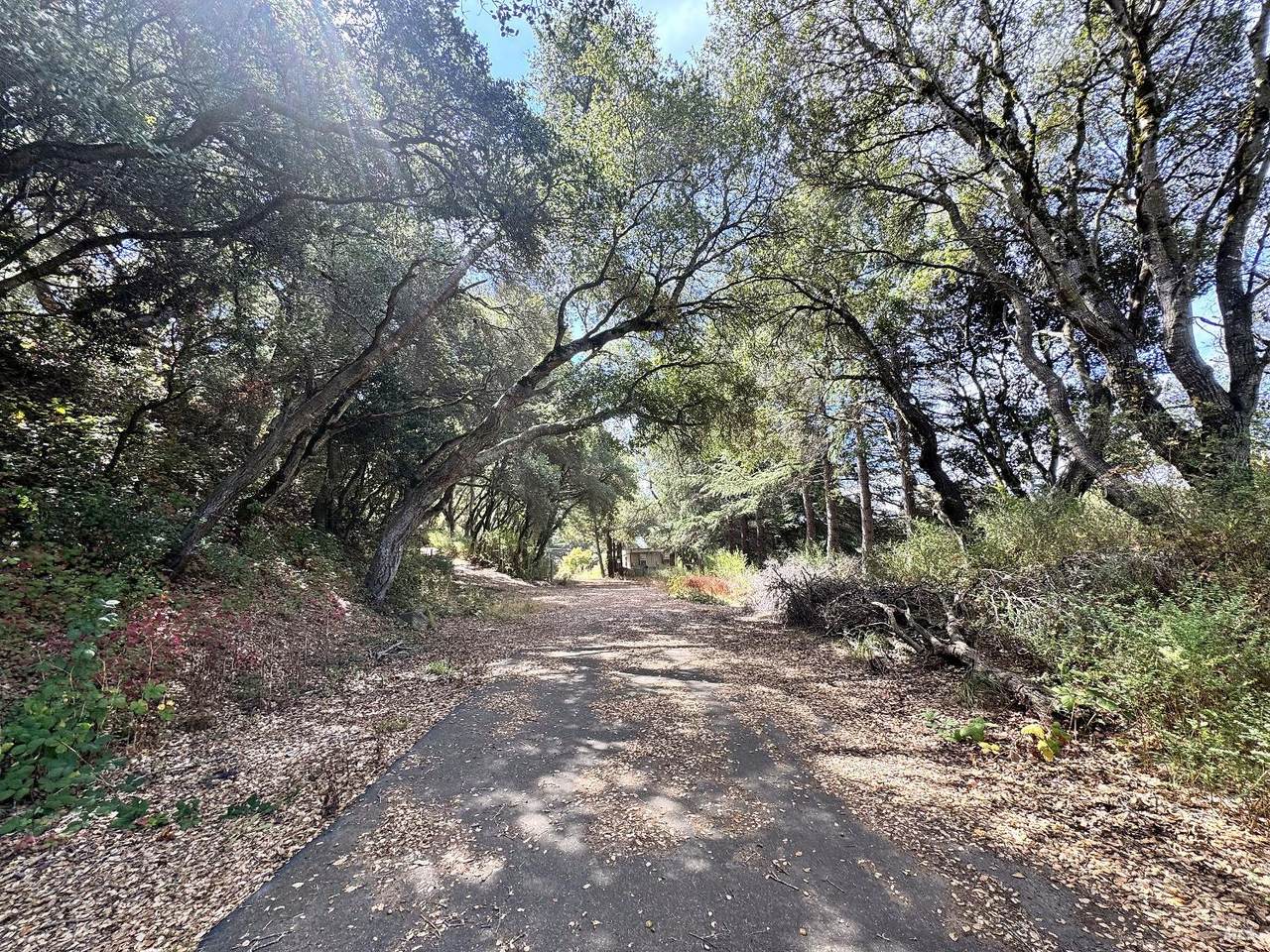 6675 Petersen Road - Photo 1