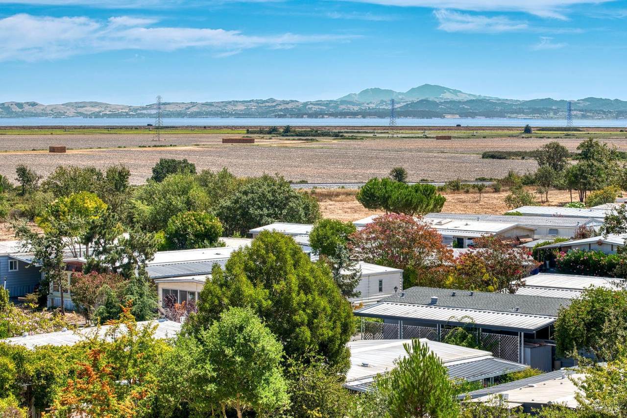 59 Marin Valley Drive - Photo 1